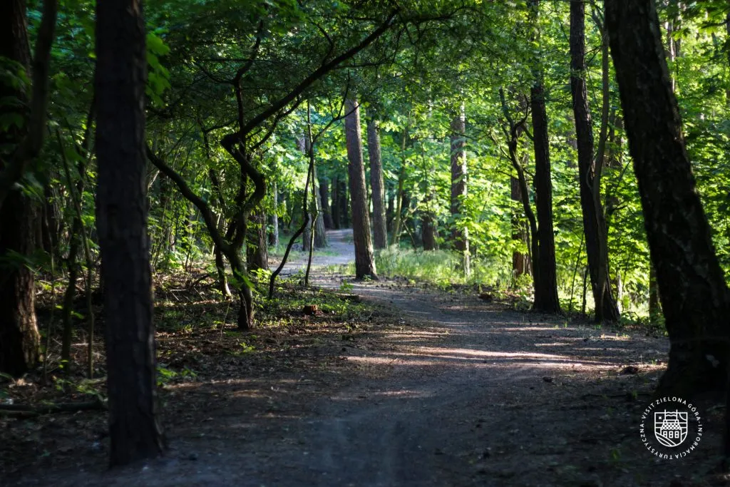 Cover for SingleTrack cyclist monitoring system